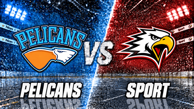 Pelicans – Sport