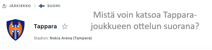 liiga-mista-voin-katsoa-tappara-joukkueen-ottelun-suorana